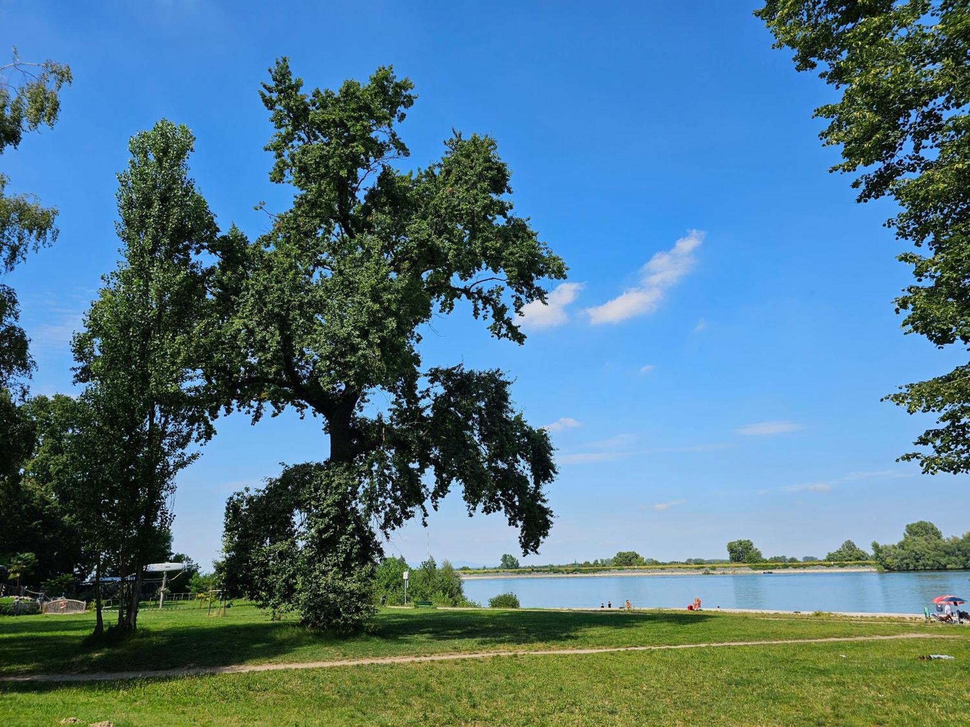 Villa Moderne Doppelhaushaelfte In Oppenheim Exterior foto